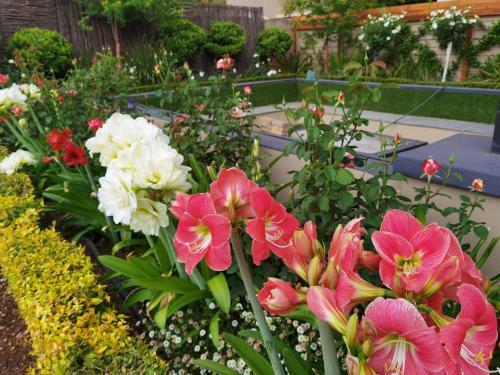 Bed & Breakfast Bella Rosa