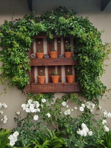 Bed & Breakfast Bella Rosa