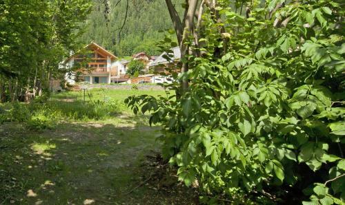 Apartamento Alte S�ge - Ferienwohnung