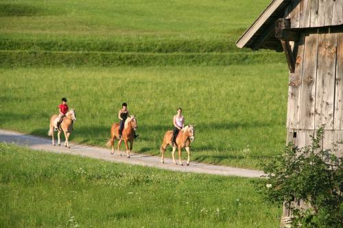 Agroturismo Ferienhof Obergasser Und Bergblick
