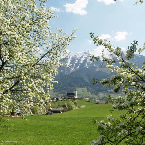 Hotel Landhaus Empl