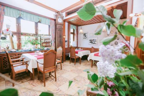 Hostal Gasthof Willenbrink