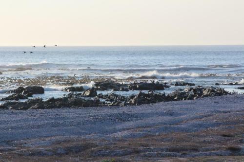 Apartamento Shelley Point On Sea