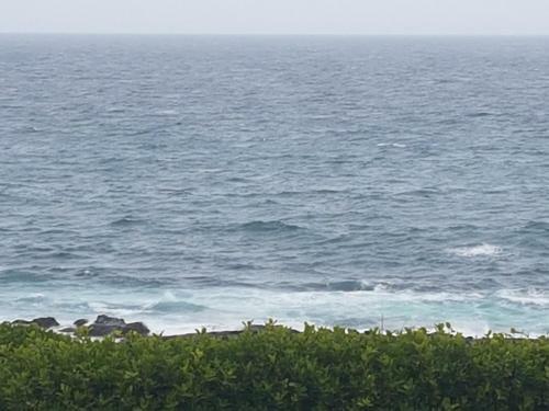 Apartamento Marine48 Self-catering Port Elizabeth
