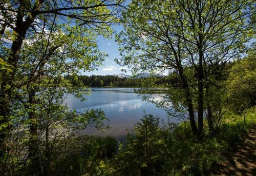 Apartamento Ferienhof Uhlemayr