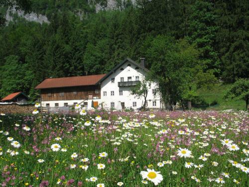 Apartamento Ferienwohnung Bluntaum�hle
