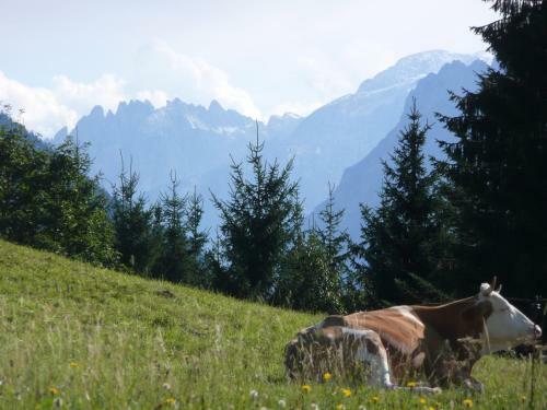 Apartamento Ferienwohnung Bluntaum�hle