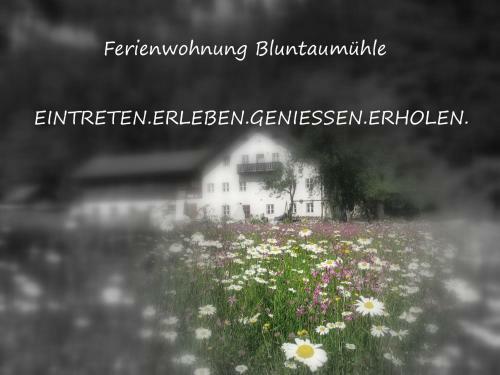 Apartamento Ferienwohnung Bluntaum�hle
