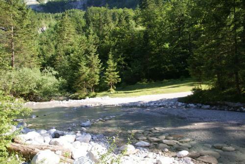 Apartamento Ferienwohnung Bluntaum�hle