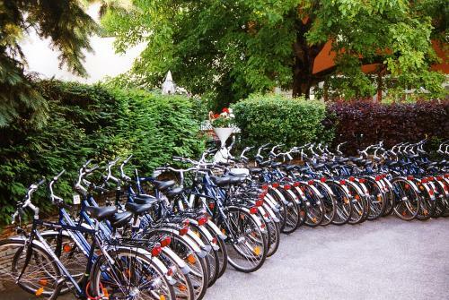 Hostal Gasthof B�hm