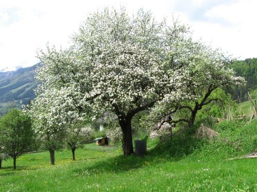Naturhotel B�cker-ferdl