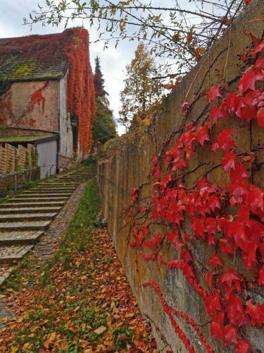 Bed & Breakfast G�stezimmer Reitinger