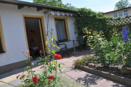 Apartamento Ahlbeck_seebadwohnung 03