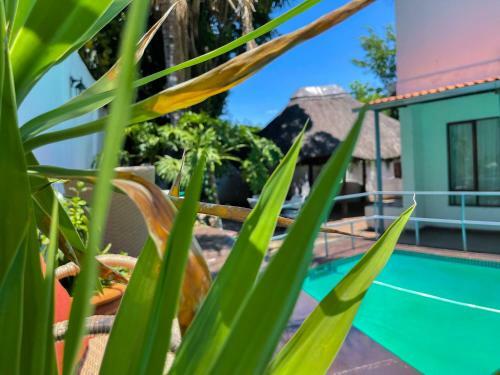 Hostal Neptune Royal Guesthouse