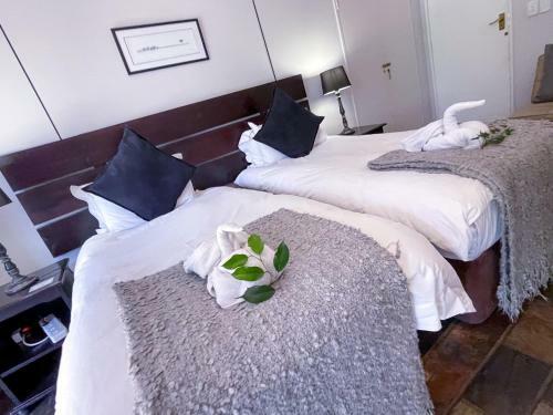 Hostal Amorus Guesthouse