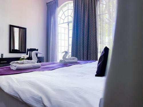 Hostal Amorus Guesthouse
