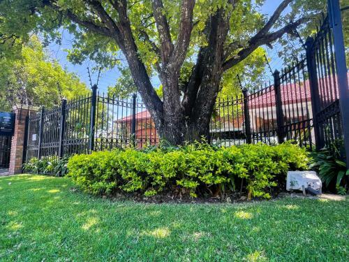Hostal Amorus Guesthouse