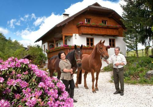 Apartamento Haus Elfi