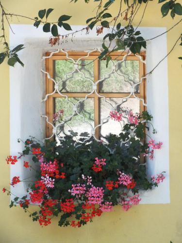 Apartamento Steuerer Hof