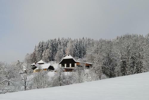 Agroturismo Schlintl-hof