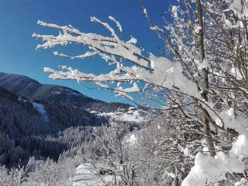 Hostal Hotel Garni Haus Anita