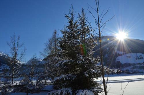 Hotel Wieser