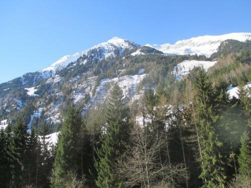 Agroturismo Bamerhof