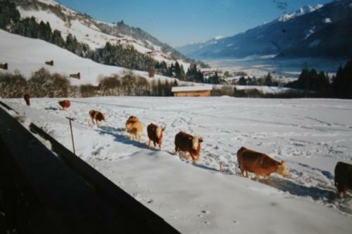 Agroturismo Taxerhof
