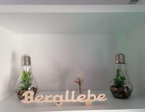 Ferienhaus Bergliebe In Willingen-usseln