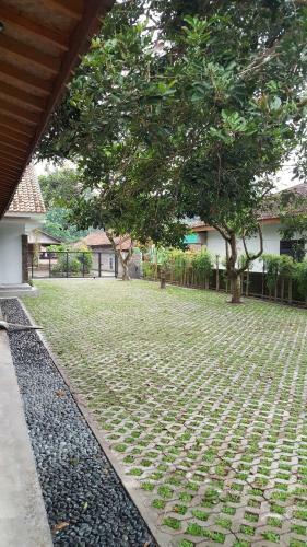 Hostal Omah Ucok Yogyakarta
