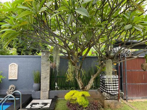Hotel Mias Jungle House