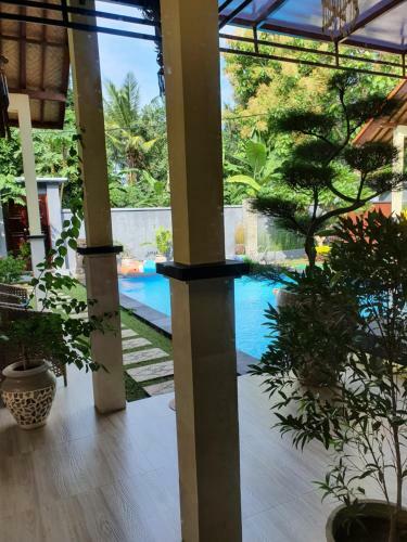 Hotel Mias Jungle House