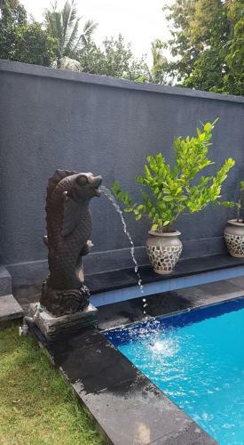 Hotel Mias Jungle House