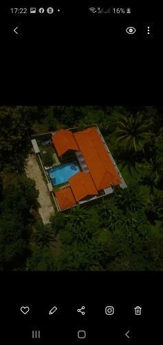 Hotel Mias Jungle House