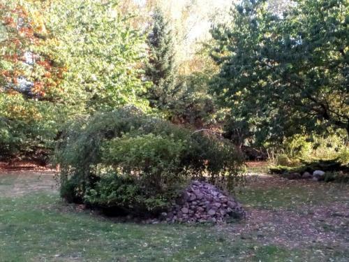 Hotel Leppiner Hof - B&B Fr�hst�ckspension
