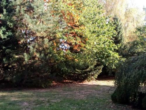 Hotel Leppiner Hof - B&B Fr�hst�ckspension