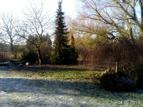 Hotel Leppiner Hof - B&B Fr�hst�ckspension
