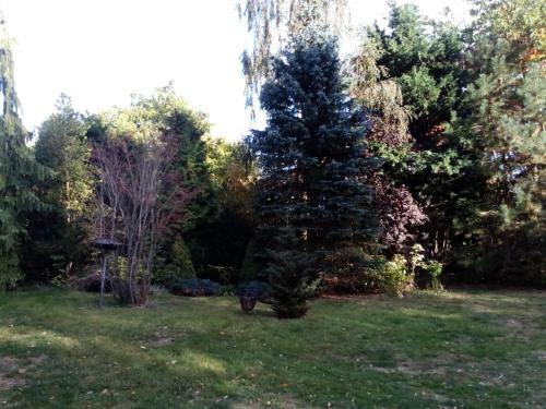 Hotel Leppiner Hof - B&B Fr�hst�ckspension