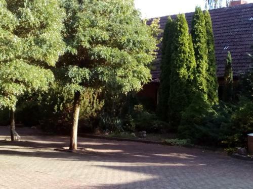 Hotel Leppiner Hof - B&B Fr�hst�ckspension