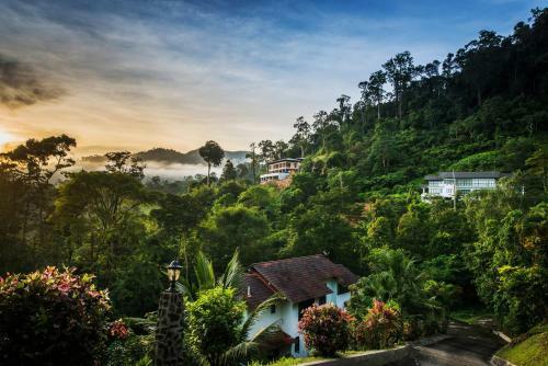 Villa Rest Pause Rainforest Retreat