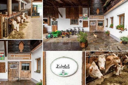 Agroturismo Ferienhof Kandler