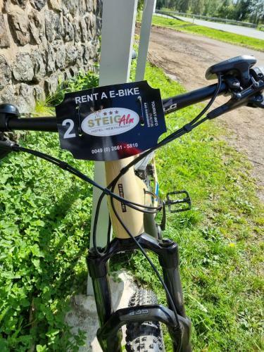 Steig-alm Hotel Superior