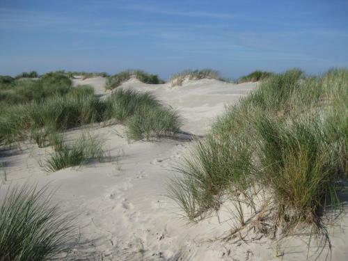 Naturhotel Baltrum