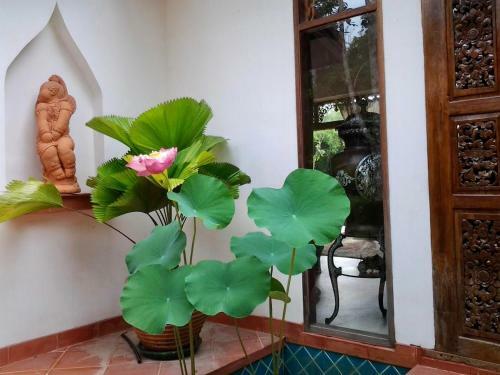 Hotel Tropical Bliss Residence
