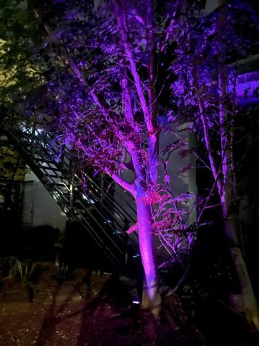 Villa Rooftop Garden Cottage