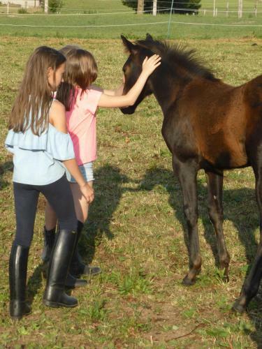 Agroturismo Espi-stables Ferienhof Esterhammer