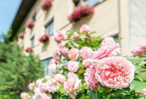 Hostal Br�cklwirt