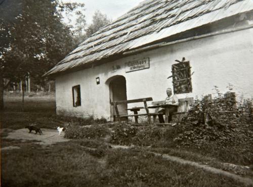 Bed & Breakfast Familiengasthof St. Wolfgang