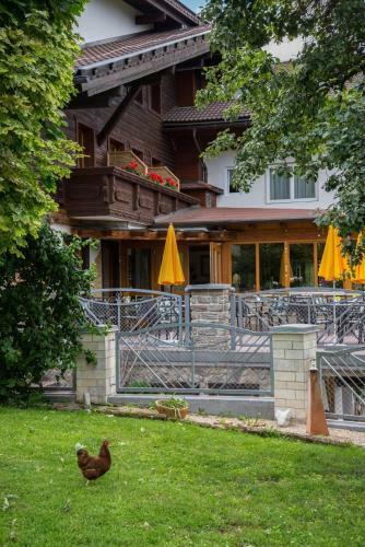 Bed & Breakfast Familiengasthof St. Wolfgang