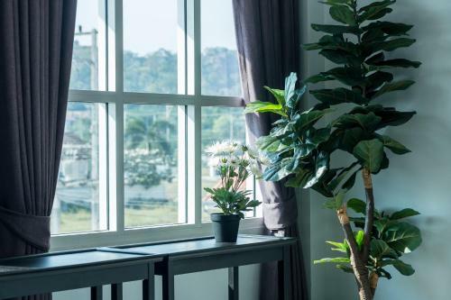 ???????????????? ?????? Art Gallery Pool Villa